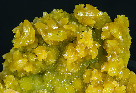 Pyromorphite. 