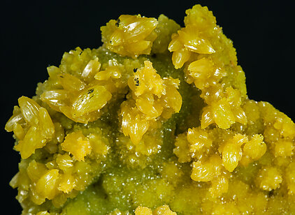 Pyromorphite. 