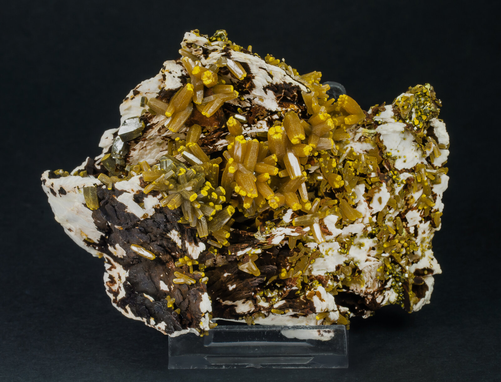 specimens/s_imagesAP1/Pyromorphite-TBB16AP1f.jpg