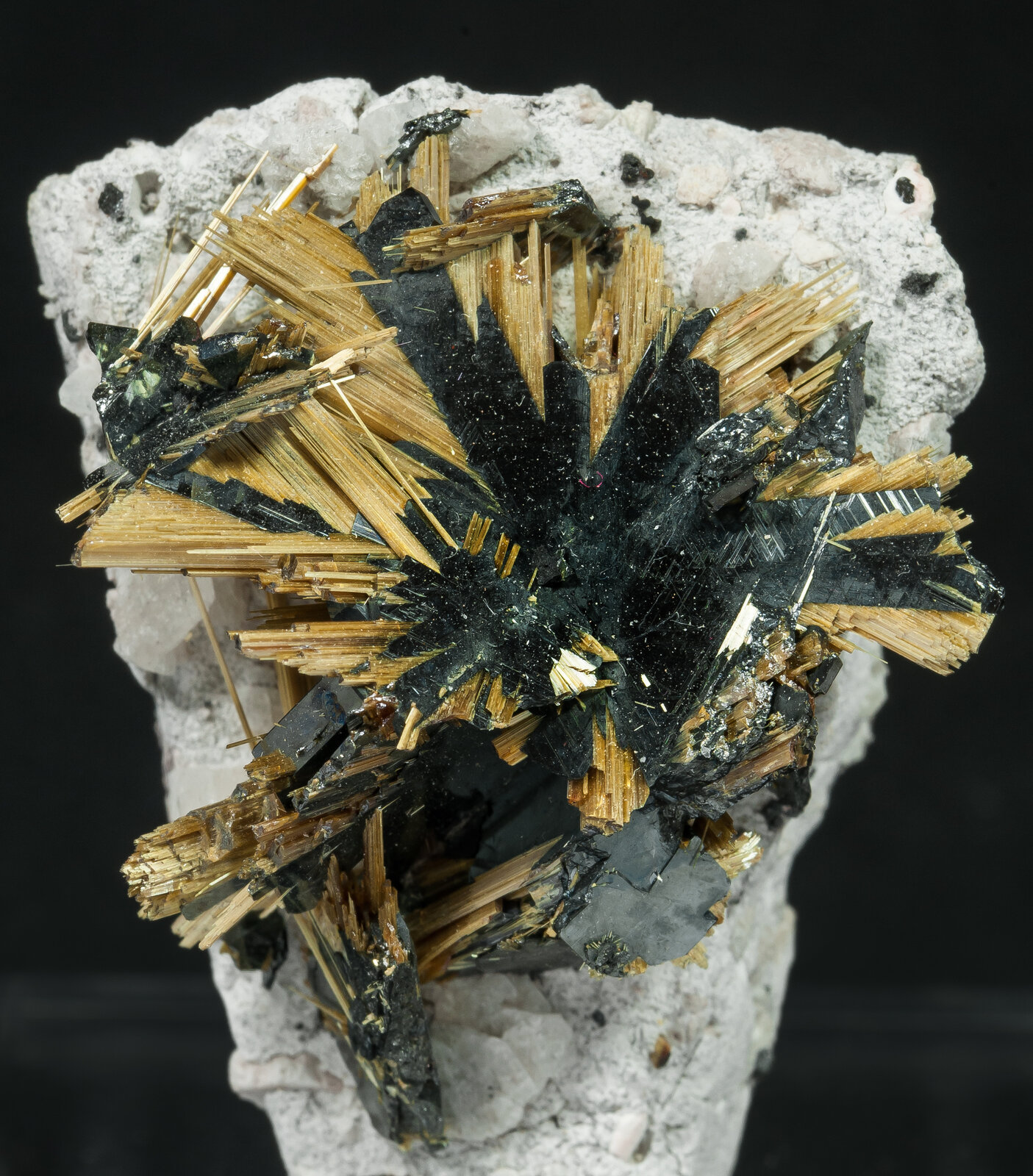 specimens/s_imagesAP1/Rutile-NFB27AP1d.jpg