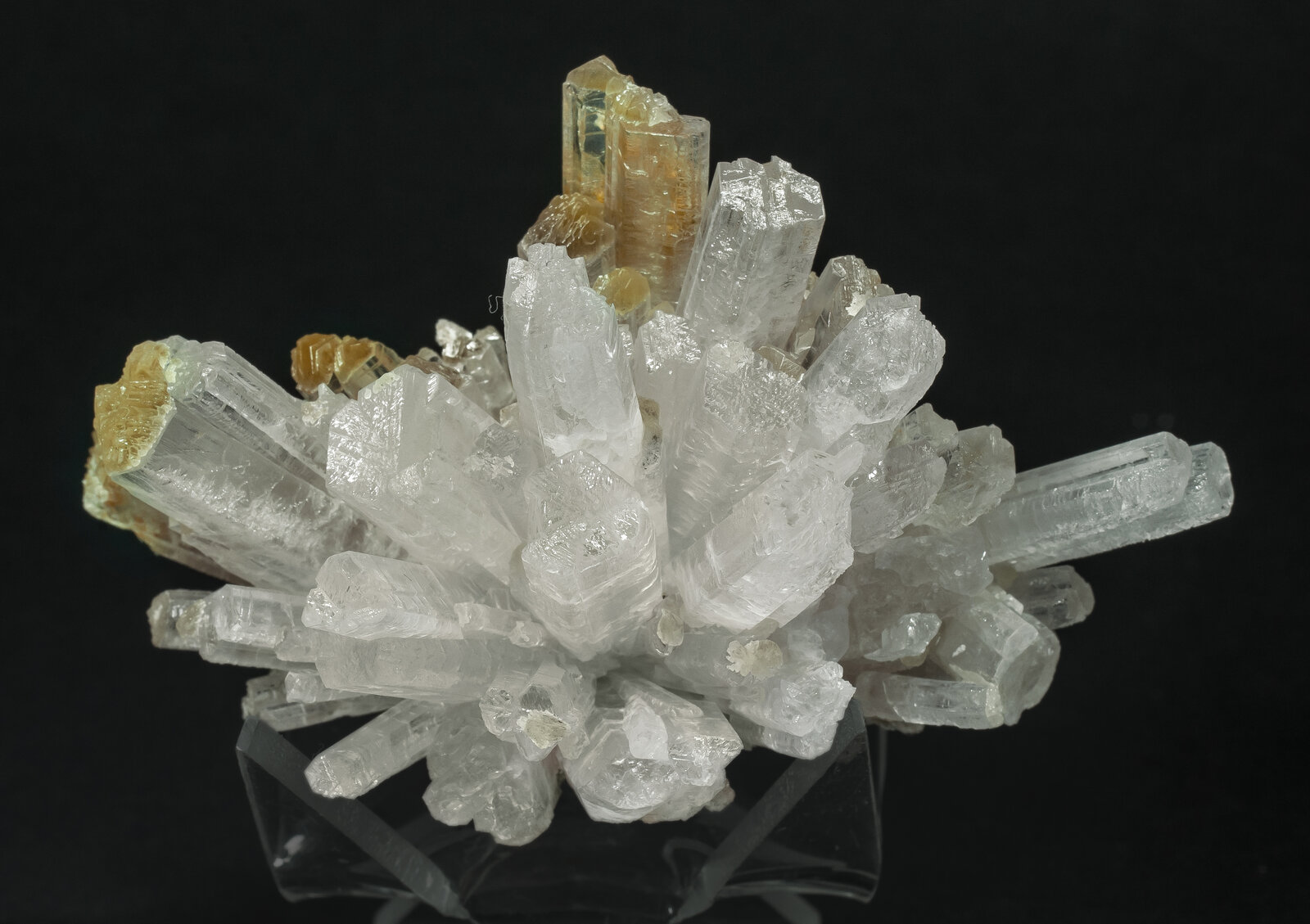 specimens/s_imagesAP2/Aragonite-ELE27AP2t.jpg