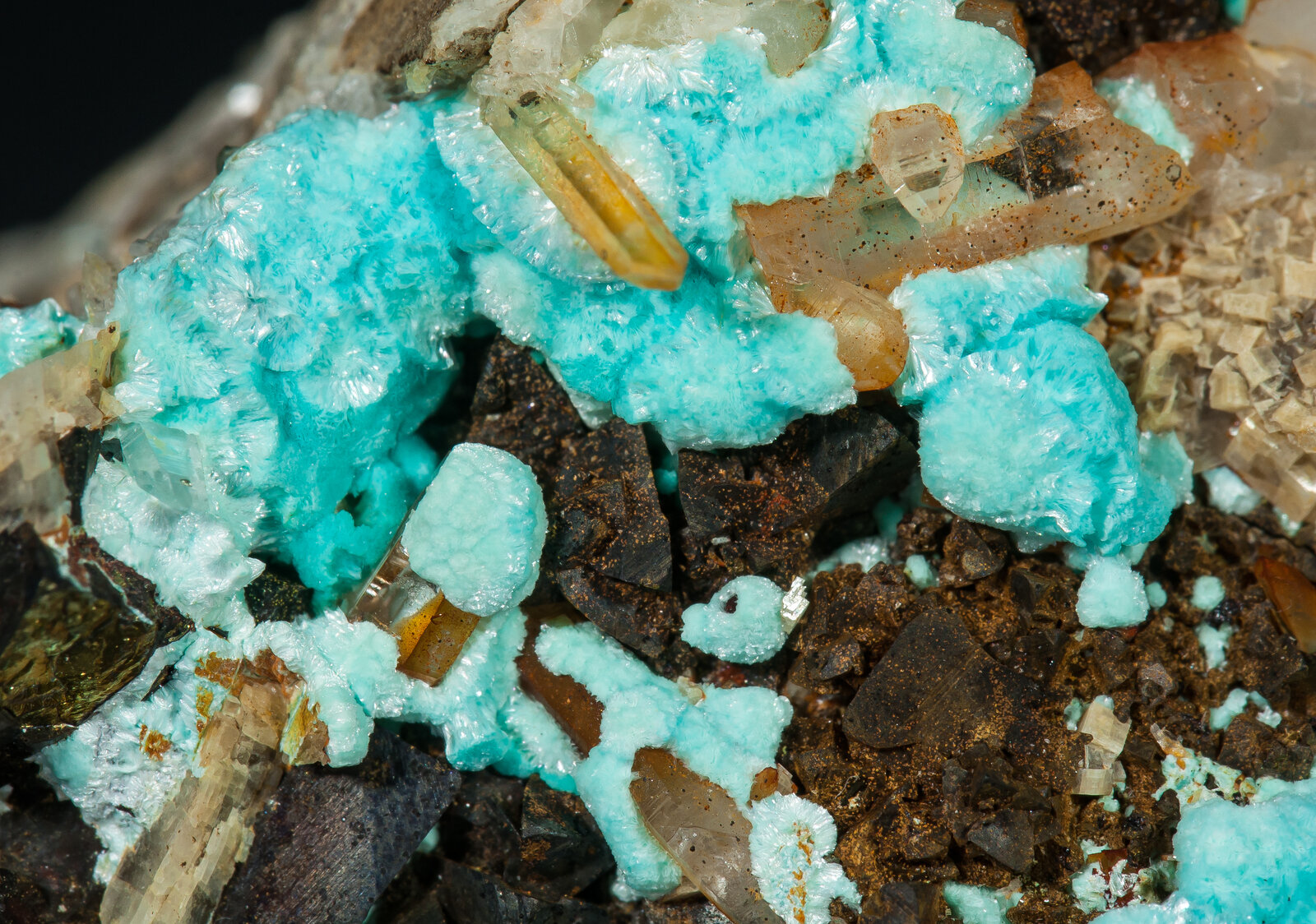 specimens/s_imagesAP2/Aurichalcite-EPR87AP2d.jpg