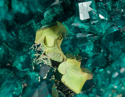 Dioptase with Wulfenite coated by Pyromorphite. 