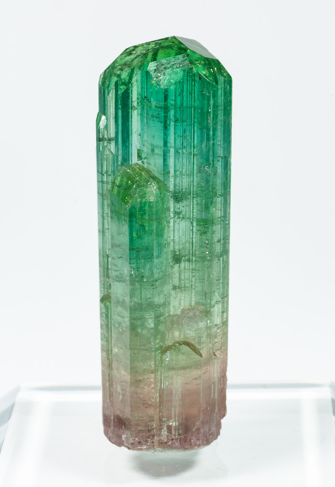 specimens/s_imagesAP2/Elbaite-TRA87AP2f.jpg