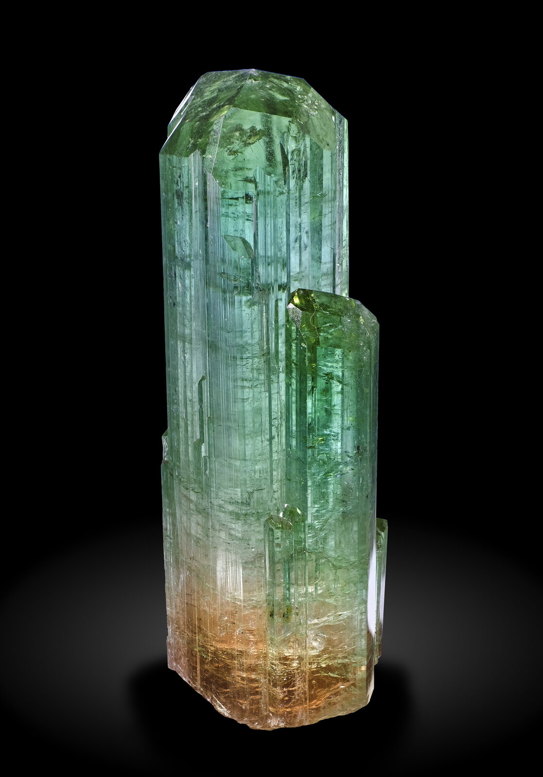 specimens/s_imagesAP2/Elbaite-TRA87AP2f_0843_f.jpg