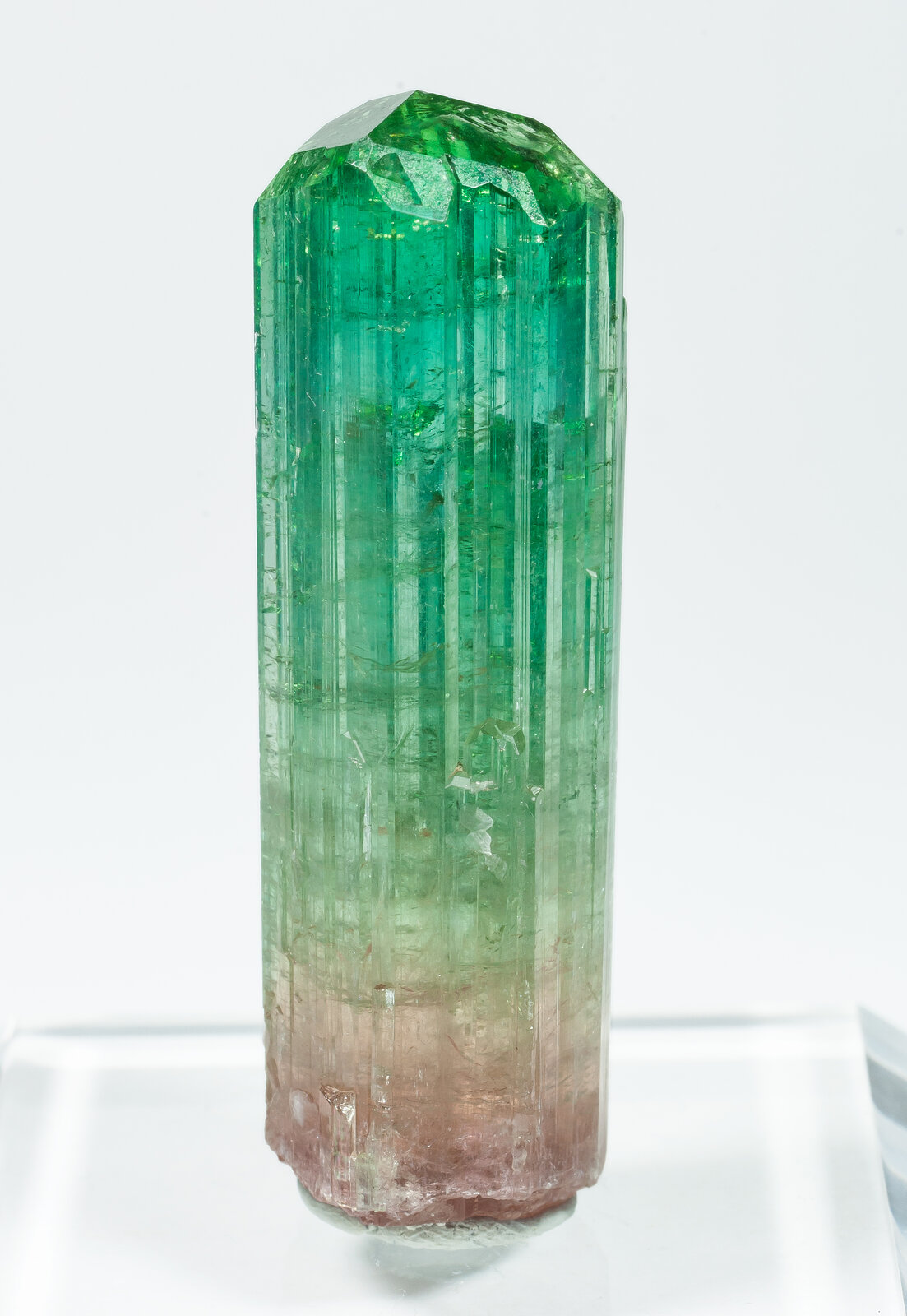 specimens/s_imagesAP2/Elbaite-TRA87AP2r.jpg