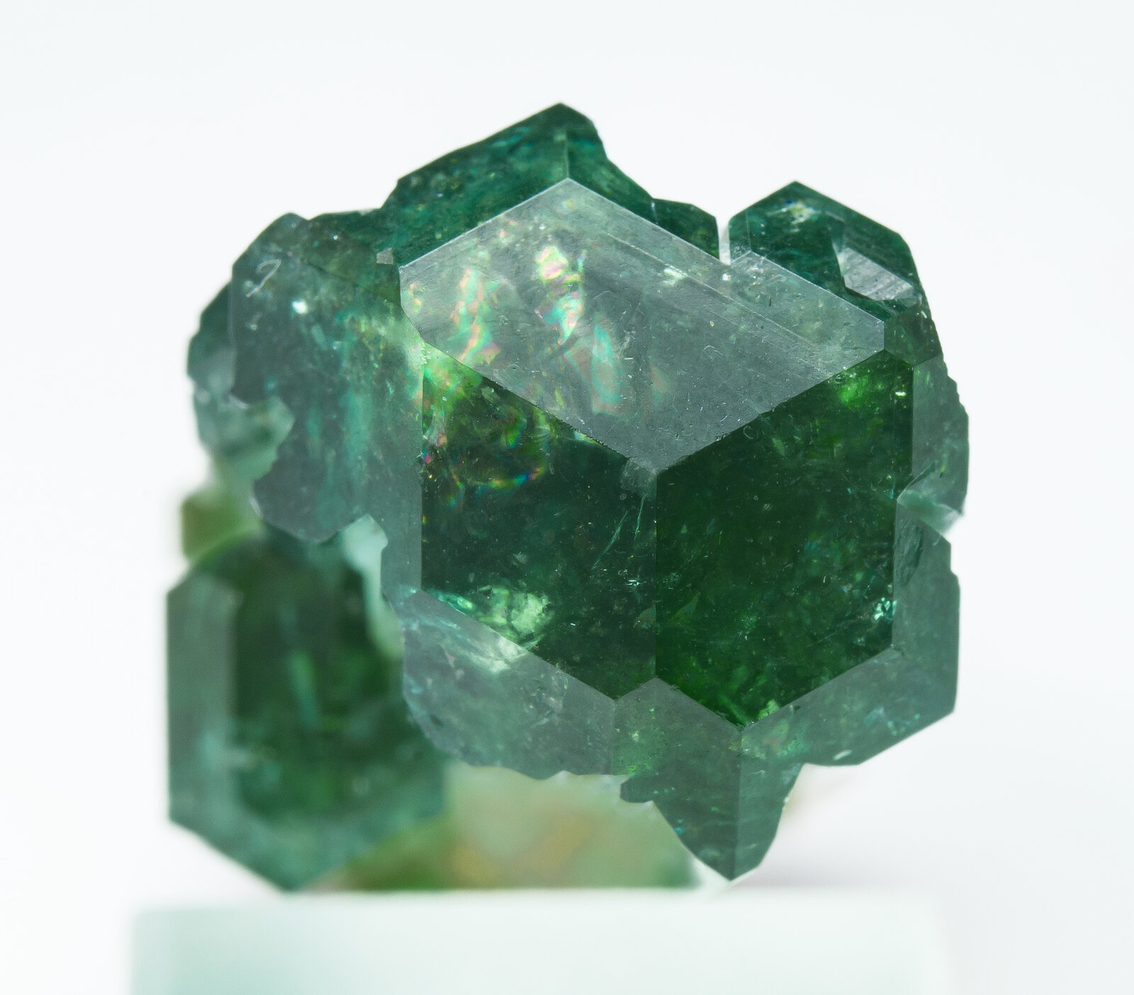 specimens/s_imagesAP2/Elbaite-TRA87AP2t.jpg