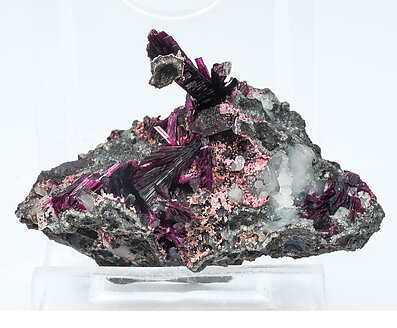 Erythrite with Quartz on Skutterudite. Rear