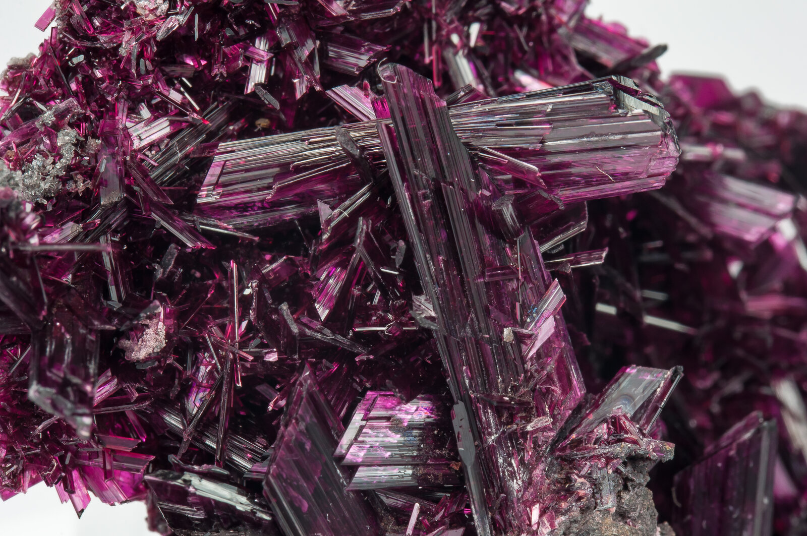 specimens/s_imagesAP2/Erythrite-MLP1AP2d2.jpg