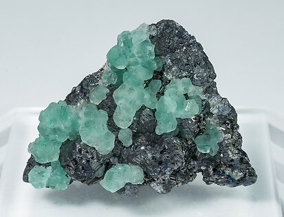 Geocronite with Fluorite.