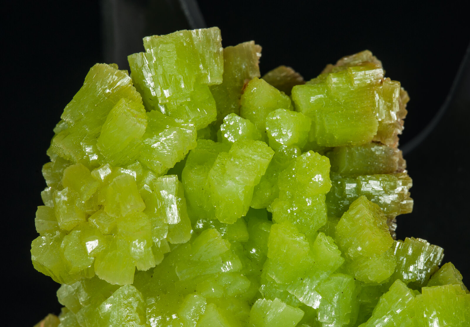 specimens/s_imagesAP2/Pyromorphite-ERB50AP2d.jpg