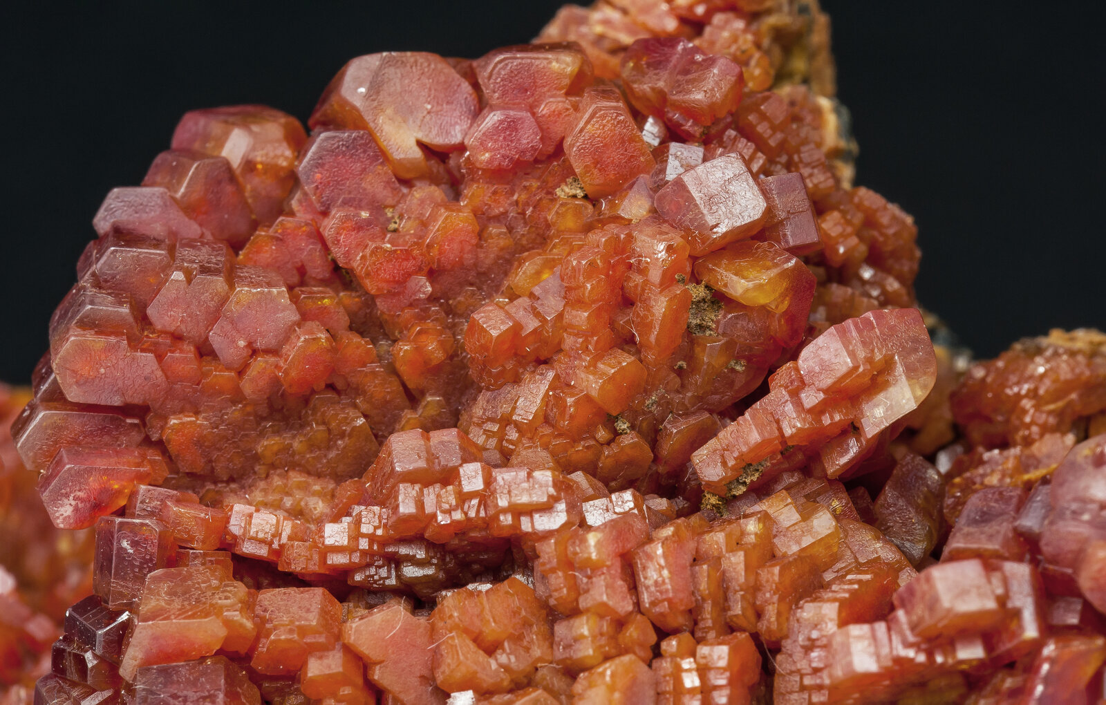 specimens/s_imagesAP2/Vanadinite-TFL50AP2d1.jpg