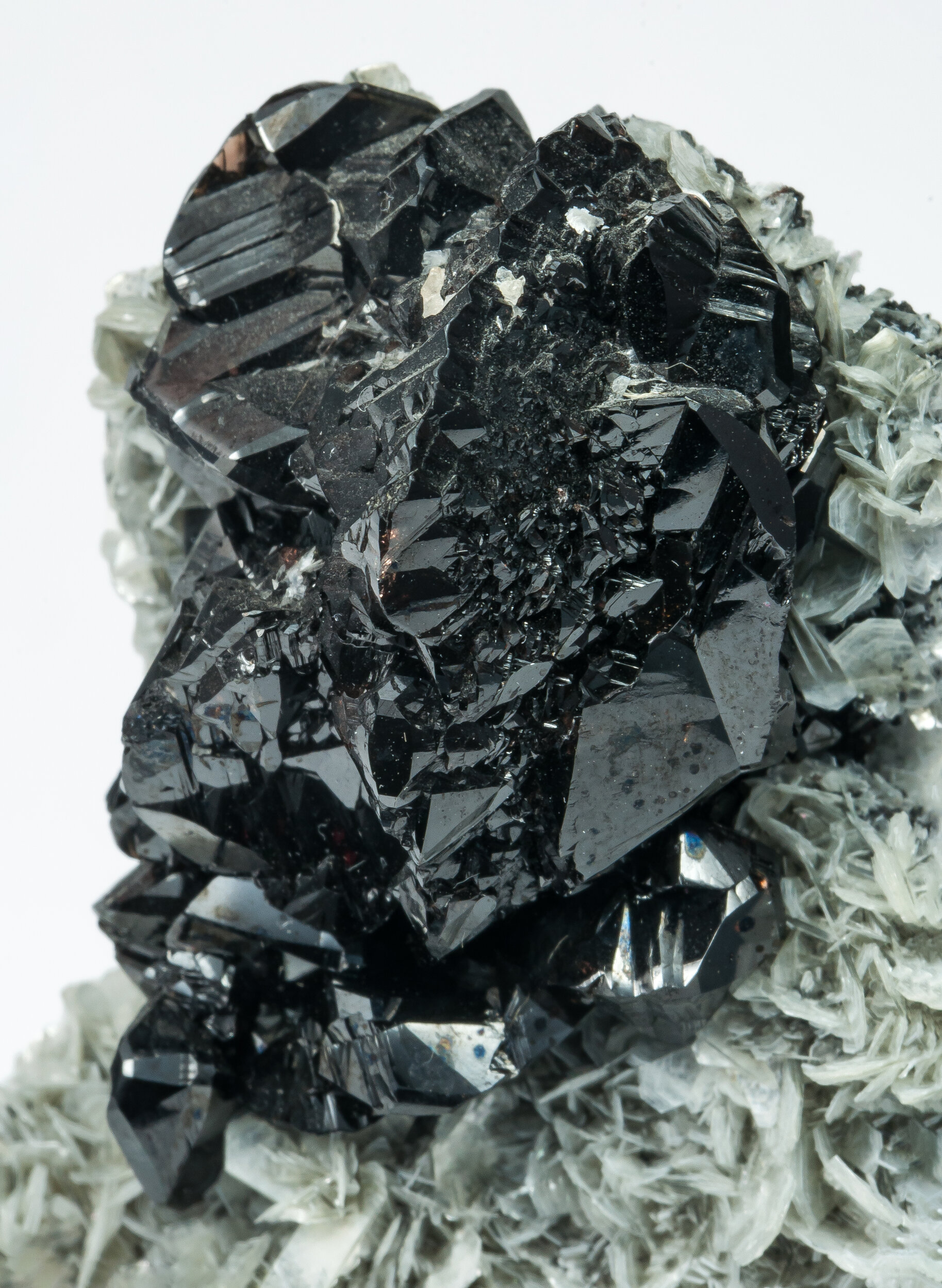 specimens/s_imagesAP3/Cassiterite-EBX49AP3d.jpg