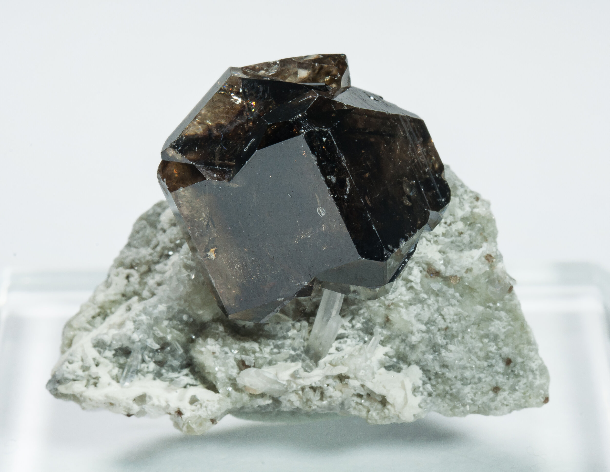 specimens/s_imagesAP3/Cassiterite-EFR97AP3f.jpg