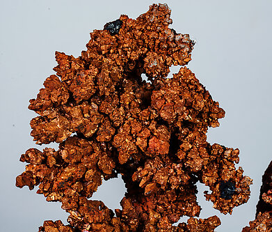 Copper with Cuprite. 