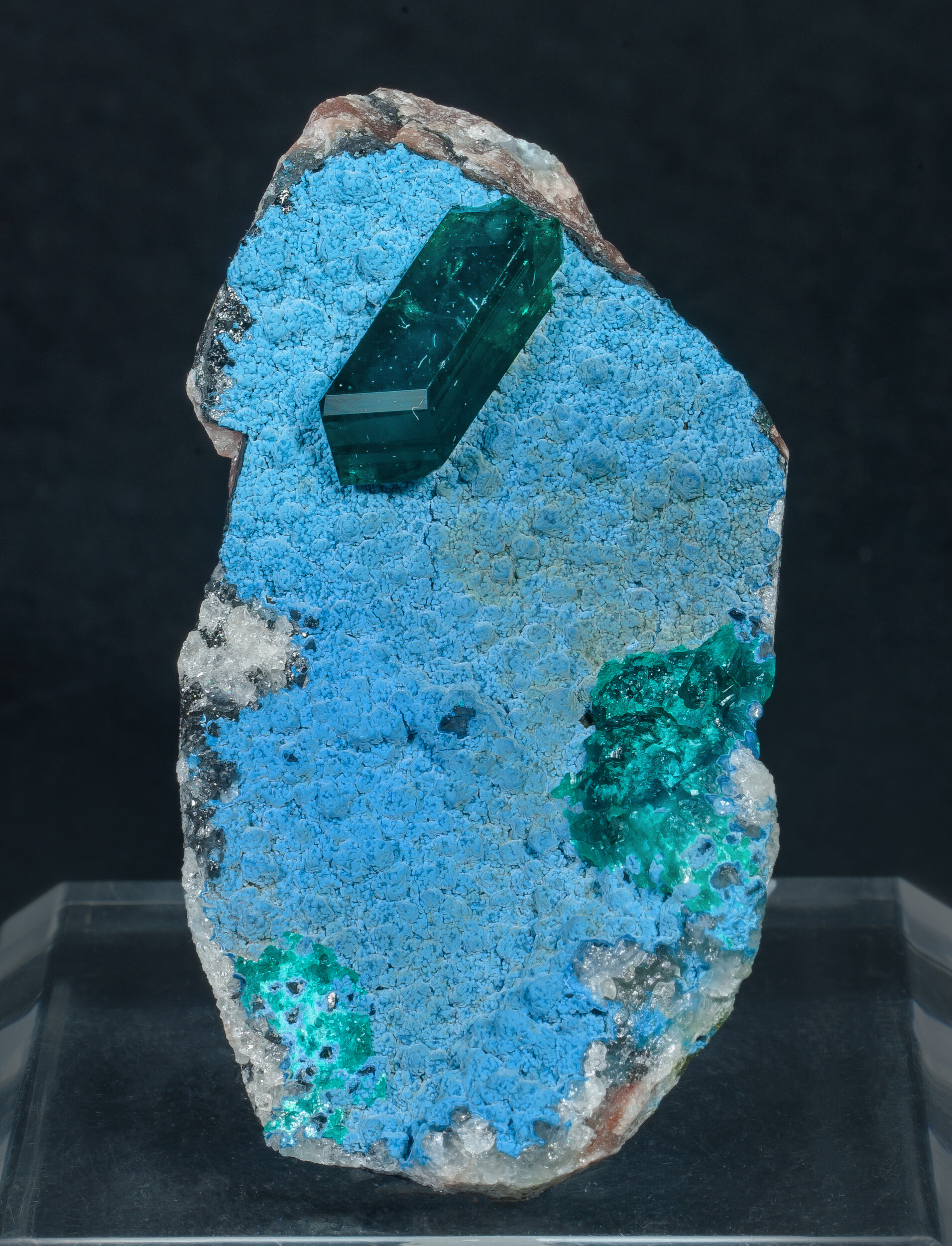 specimens/s_imagesAP3/Dioptase-MAL28AP3f.jpg