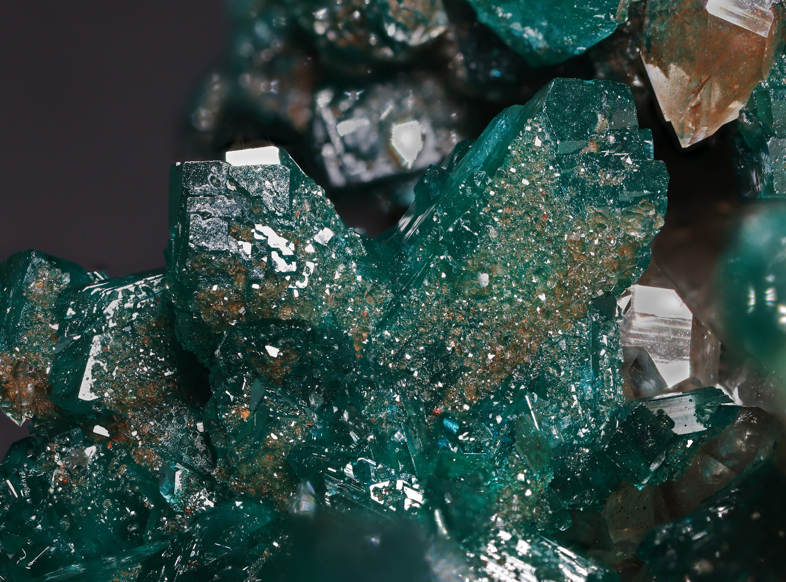 specimens/s_imagesAP3/Dioptase-MFB86AP3_6187_d.jpg