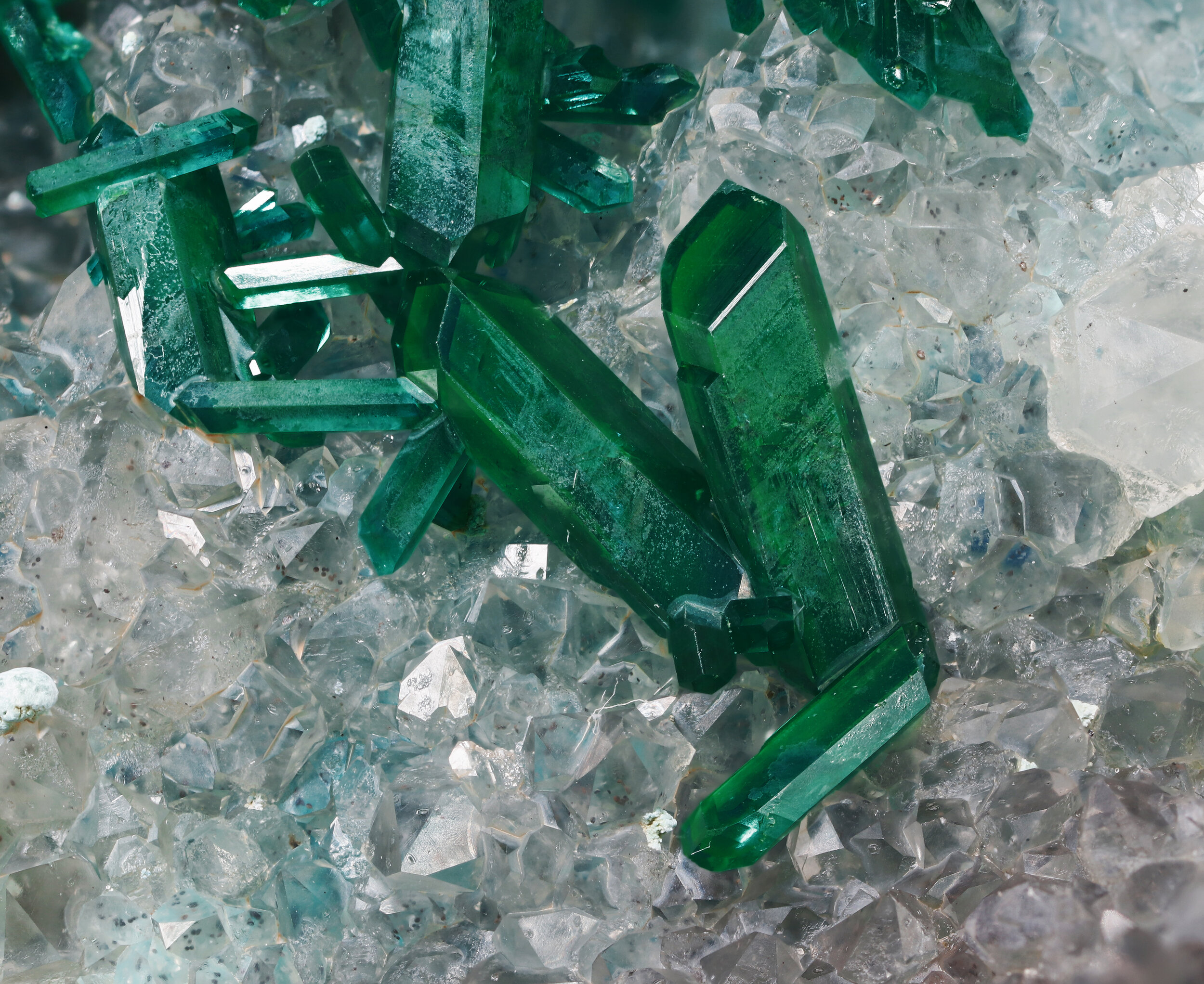 specimens/s_imagesAP3/Dioptase-MJK97AP3_5960_d.jpg