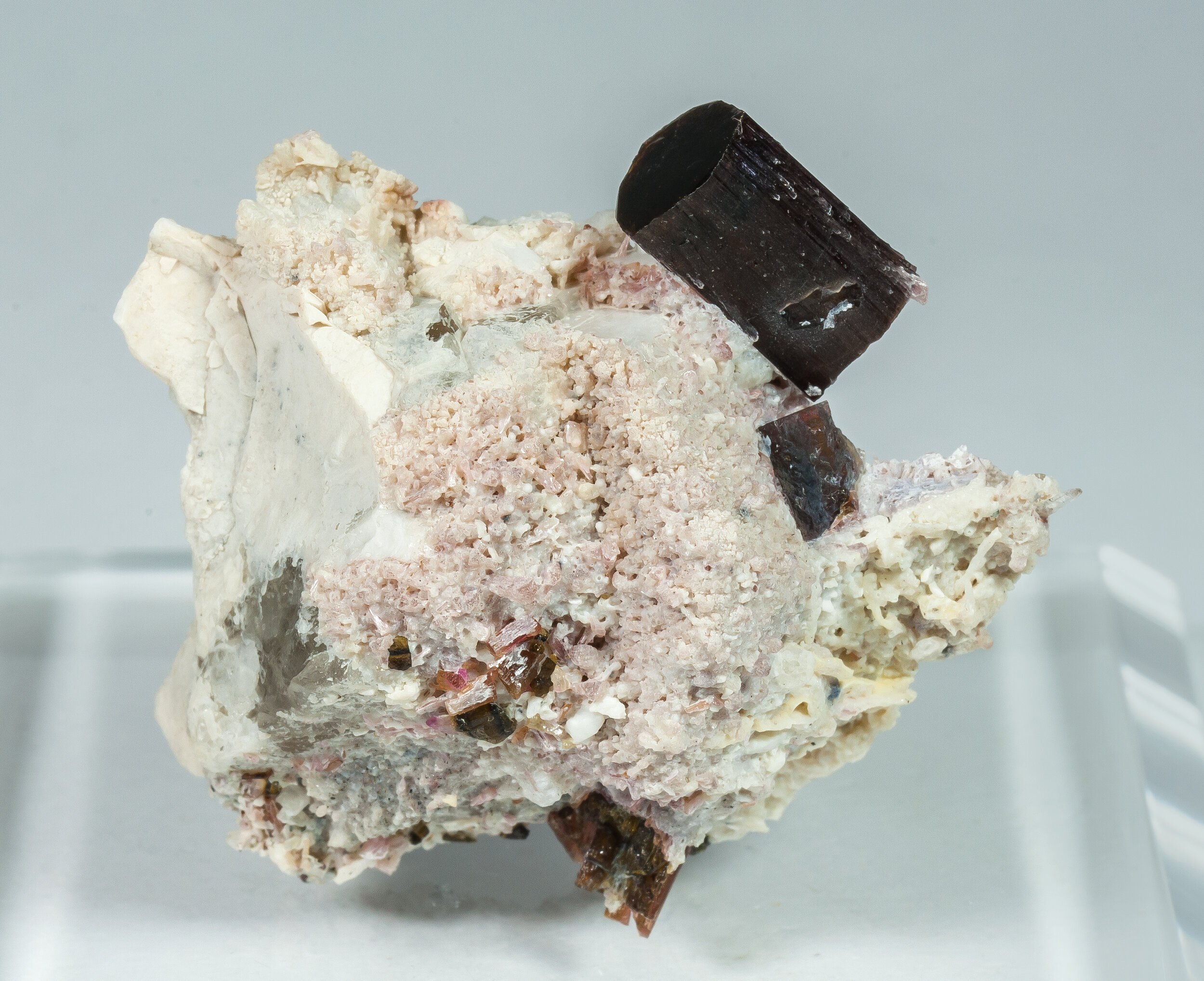 specimens/s_imagesAP3/Elbaite-MTR56AP3f1.jpg