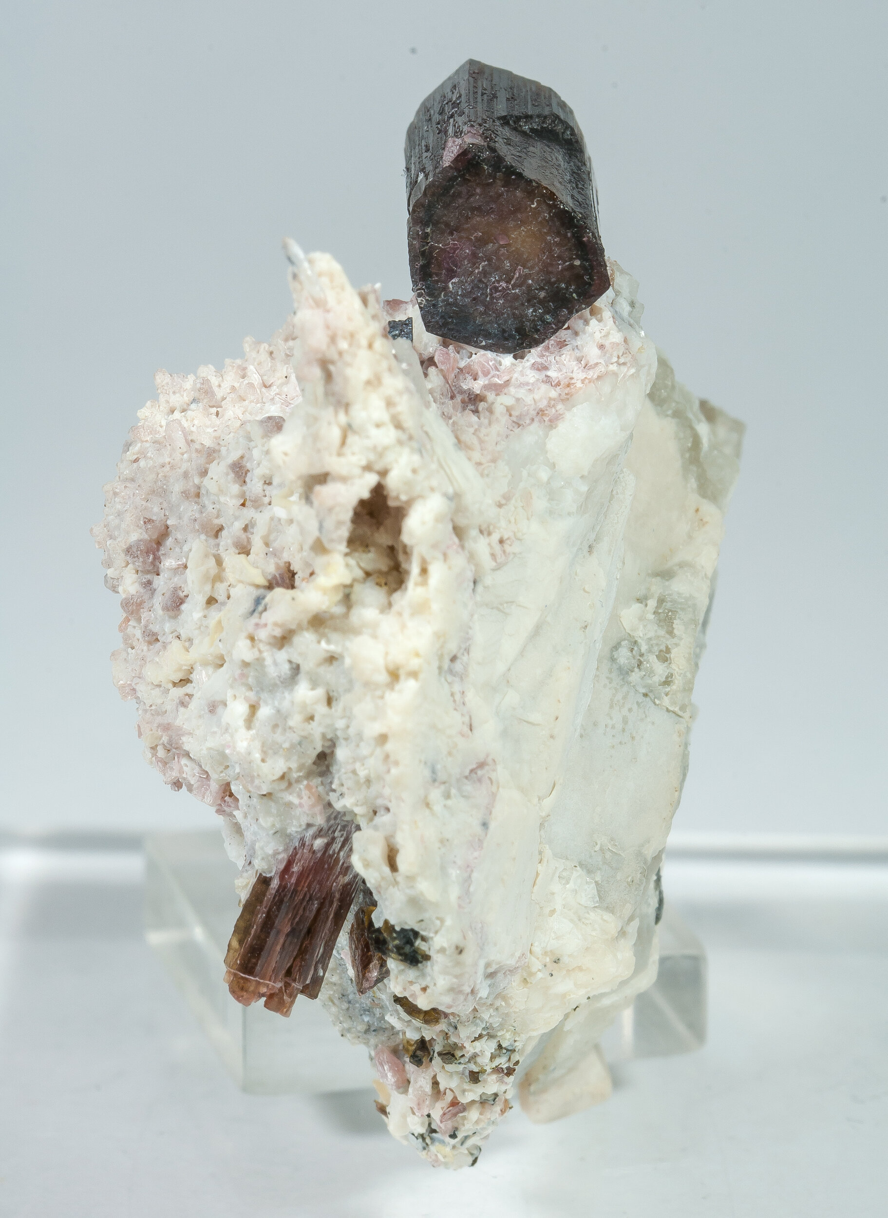 specimens/s_imagesAP3/Elbaite-MTR56AP3s.jpg