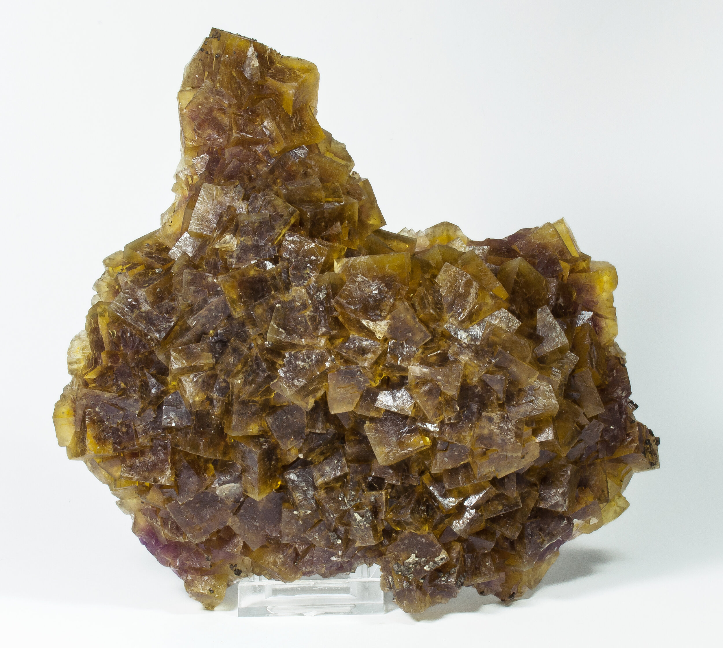 specimens/s_imagesAP3/Fluorite-NPP37AP3f.jpg