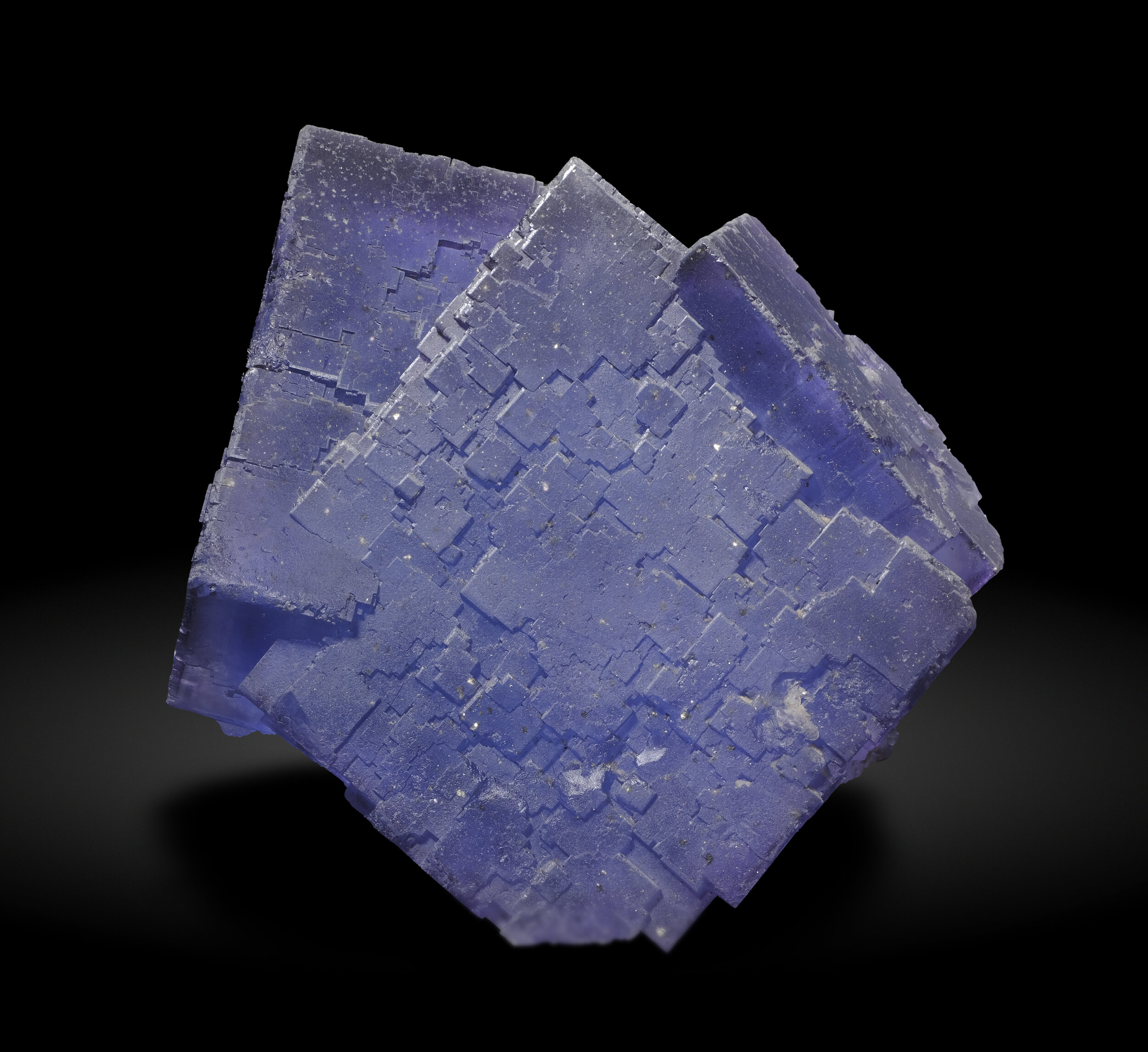 specimens/s_imagesAP3/Fluorite-NZL87AP3_2041_f1.jpg