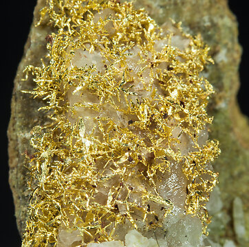 Gold with Quartz. Detail