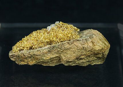 Gold with Quartz. Rear