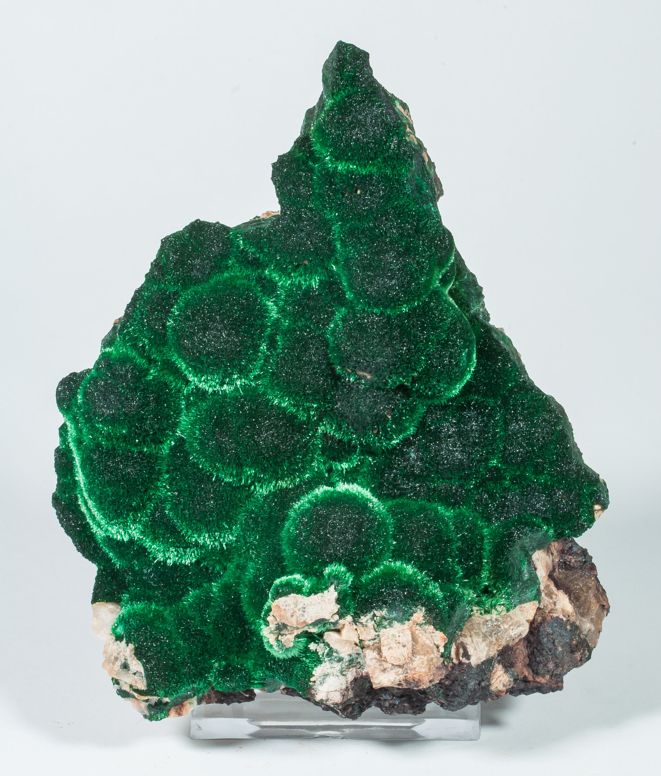 specimens/s_imagesAP3/Malachite-MLR97AP3f.jpg