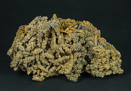 Mottramite with Wulfenite. 