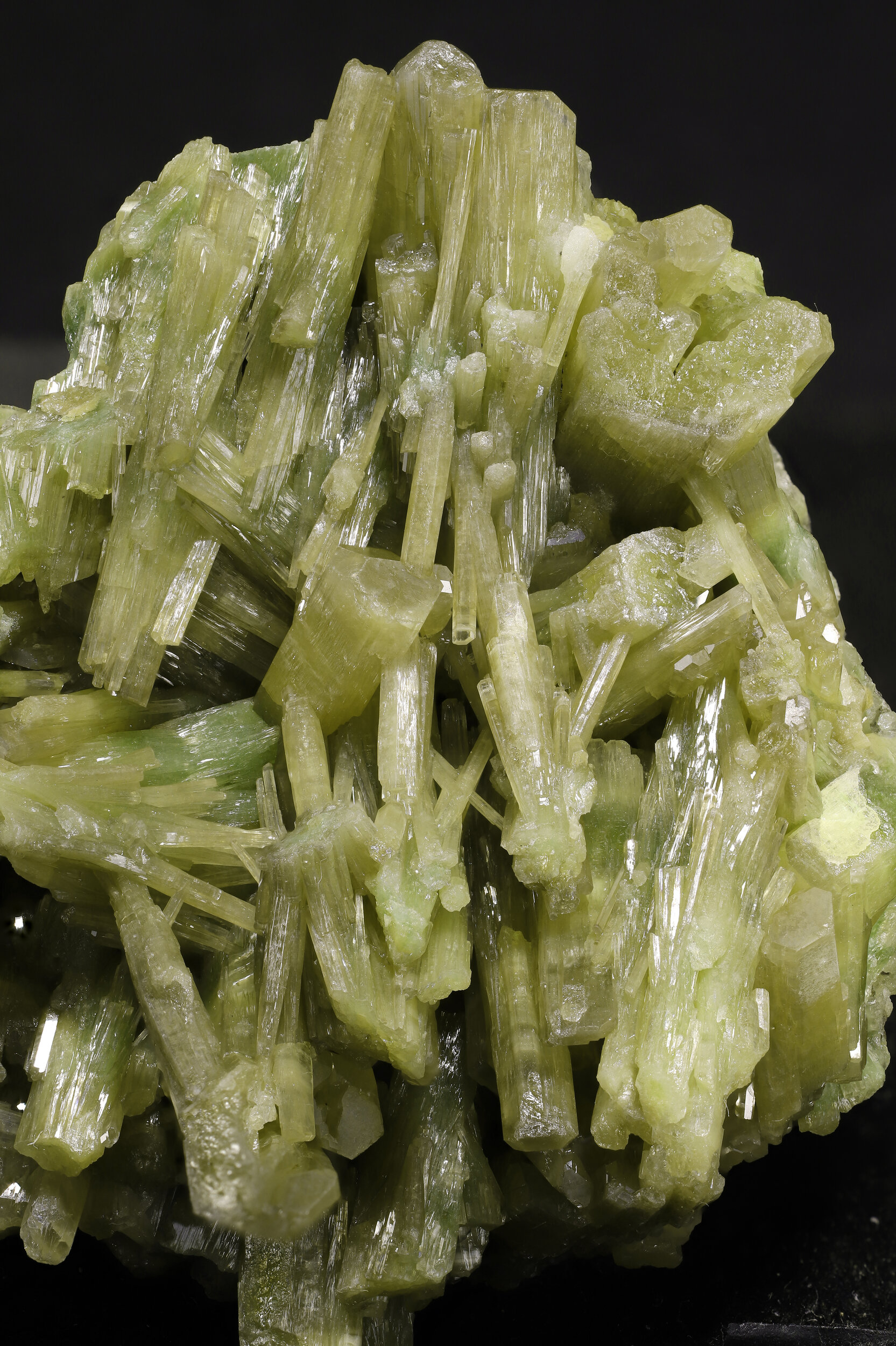 specimens/s_imagesAP3/Pyromorphite-MBL98AP3_6005_d.jpg