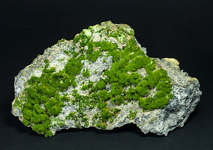 Pyromorphite. 