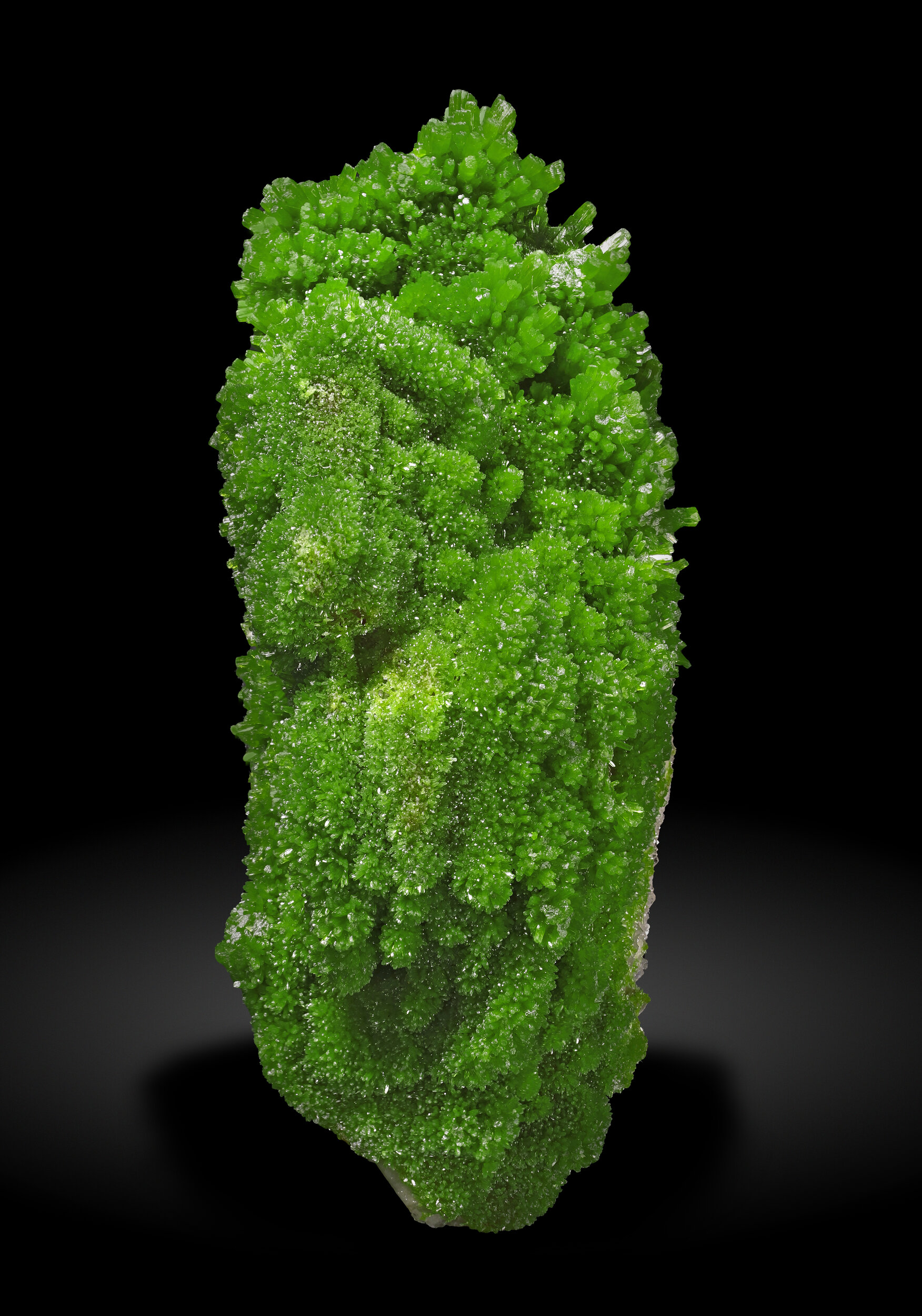 specimens/s_imagesAP3/Pyromorphite-TFM46AP3_6701_f2.jpg