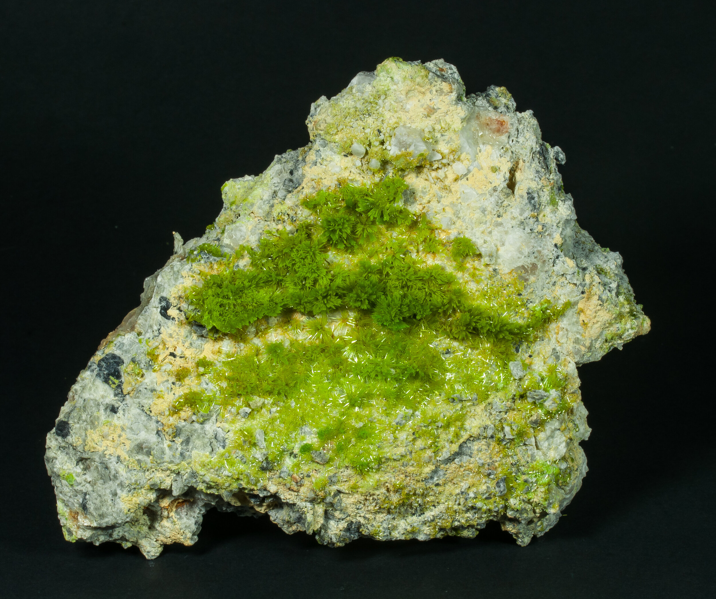 specimens/s_imagesAP3/Pyromorphite-TLP49AP3f.jpg