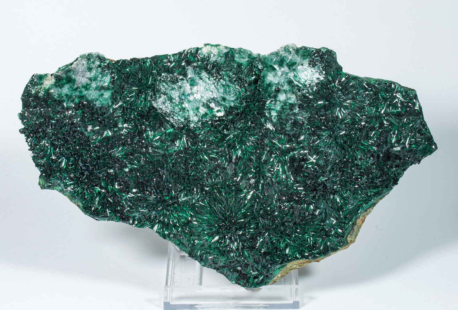 specimens/s_imagesAP4/Atacamite-TFG10AP4f.jpg