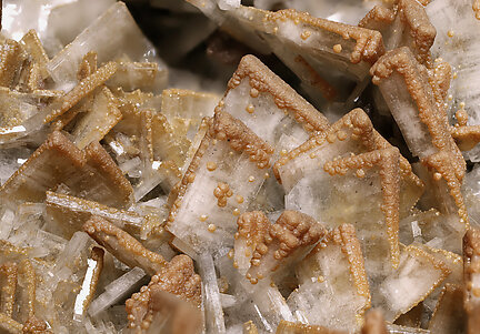 Baryte with Sphalerite. Detail / Photo: Joaquim Calln