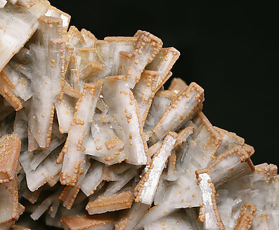 Baryte with Sphalerite. Detail / Foto: Joaquim Calln