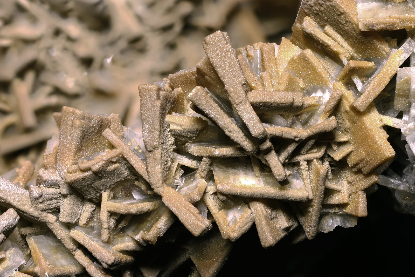 specimens/s_imagesAP4/Baryte-ERB46AP4_8221_d3.jpg