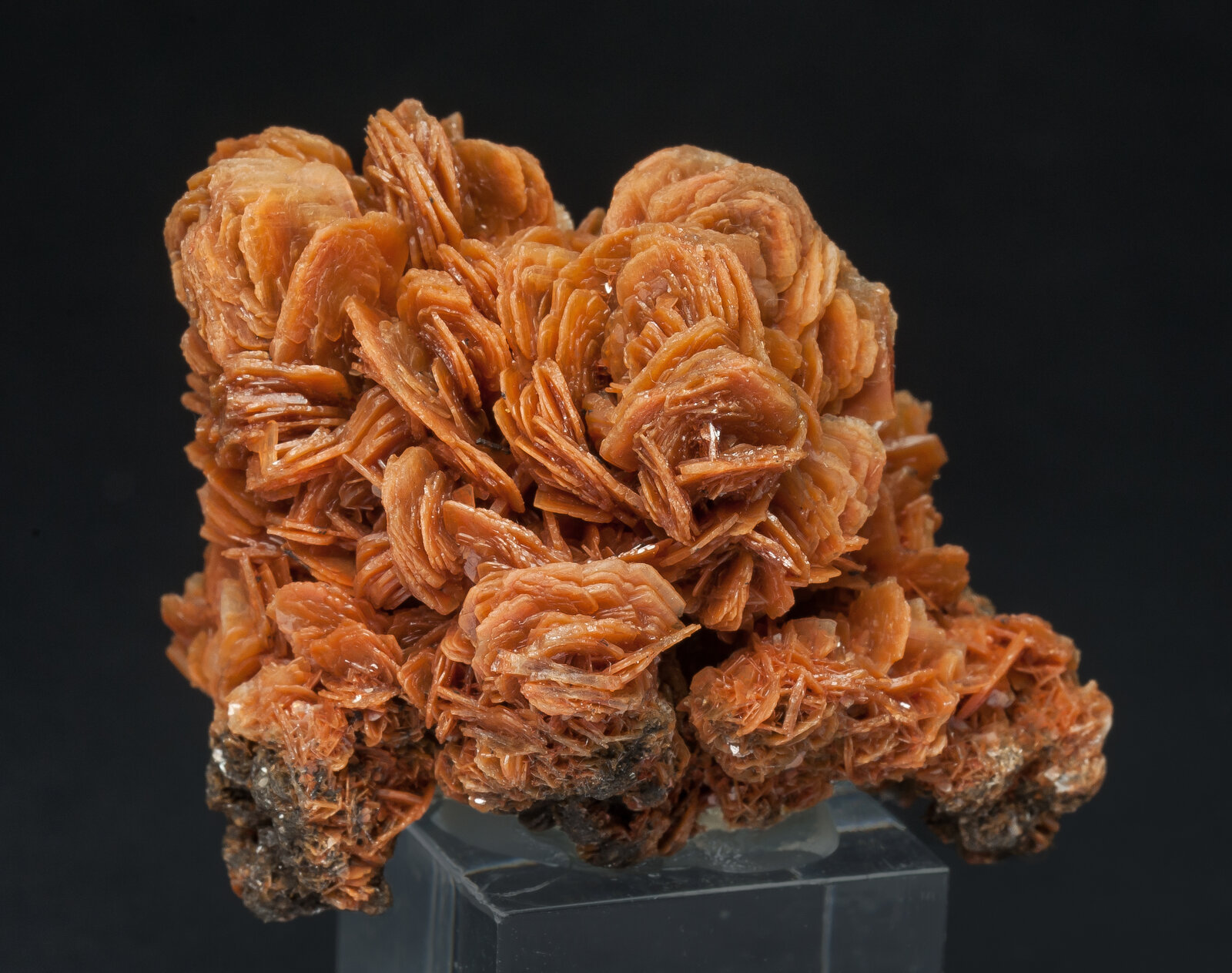 specimens/s_imagesAP4/Baryte-TRB14AP4f.jpg