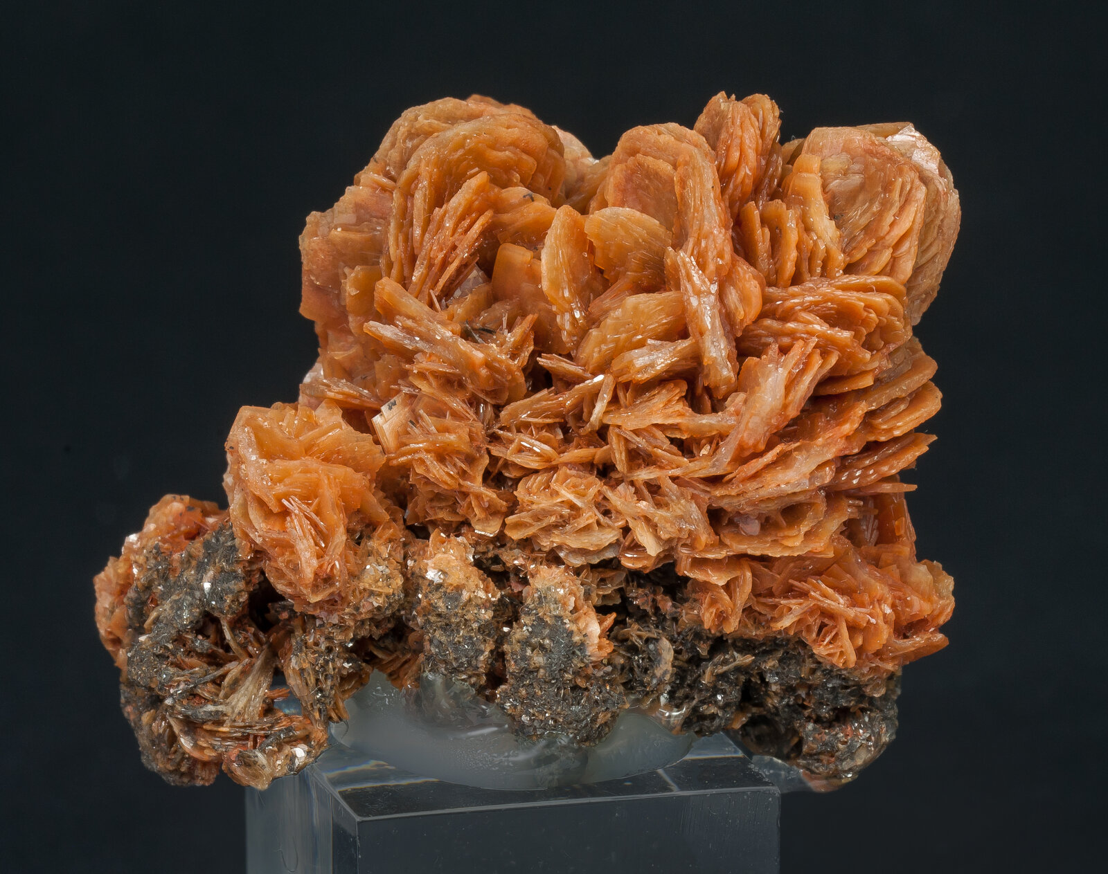 specimens/s_imagesAP4/Baryte-TRB14AP4r.jpg