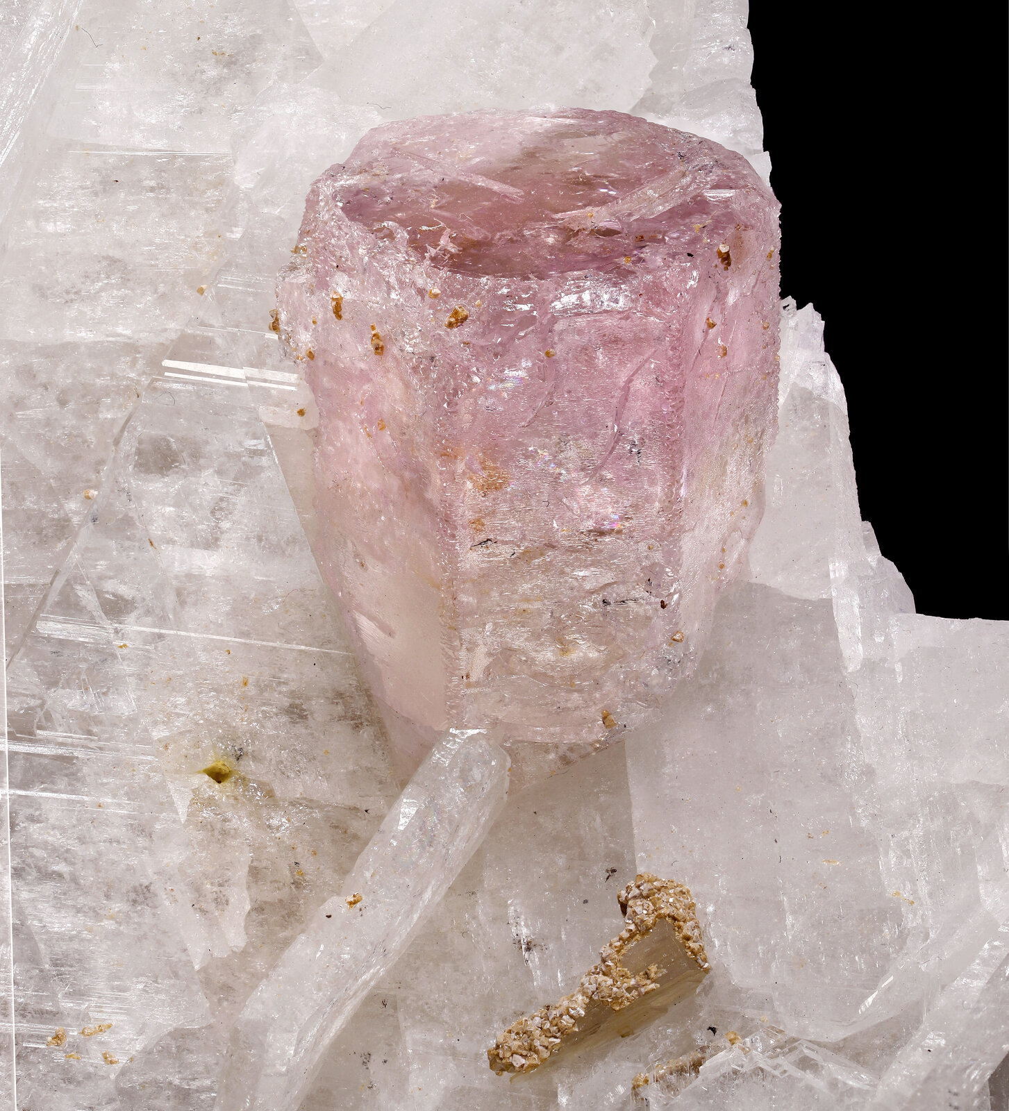 specimens/s_imagesAP4/Beryl_morganite-MJX69AP4_8537_d.jpg