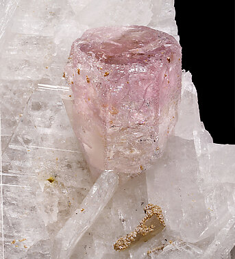 Beryl (variety morganite) with Albite (variety cleavelandite) and Columbite-Tantalite. Detail / Photo: Joaquim Calln