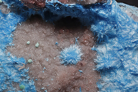 Carbonatecyanotrichite with Azurite and Calcite. Detail / Foto: Joaquim Calln