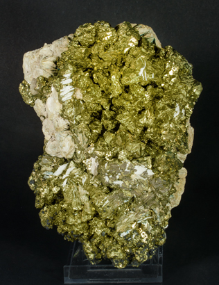 Chalcopyrite with Pyrite (variety bravoite). Front