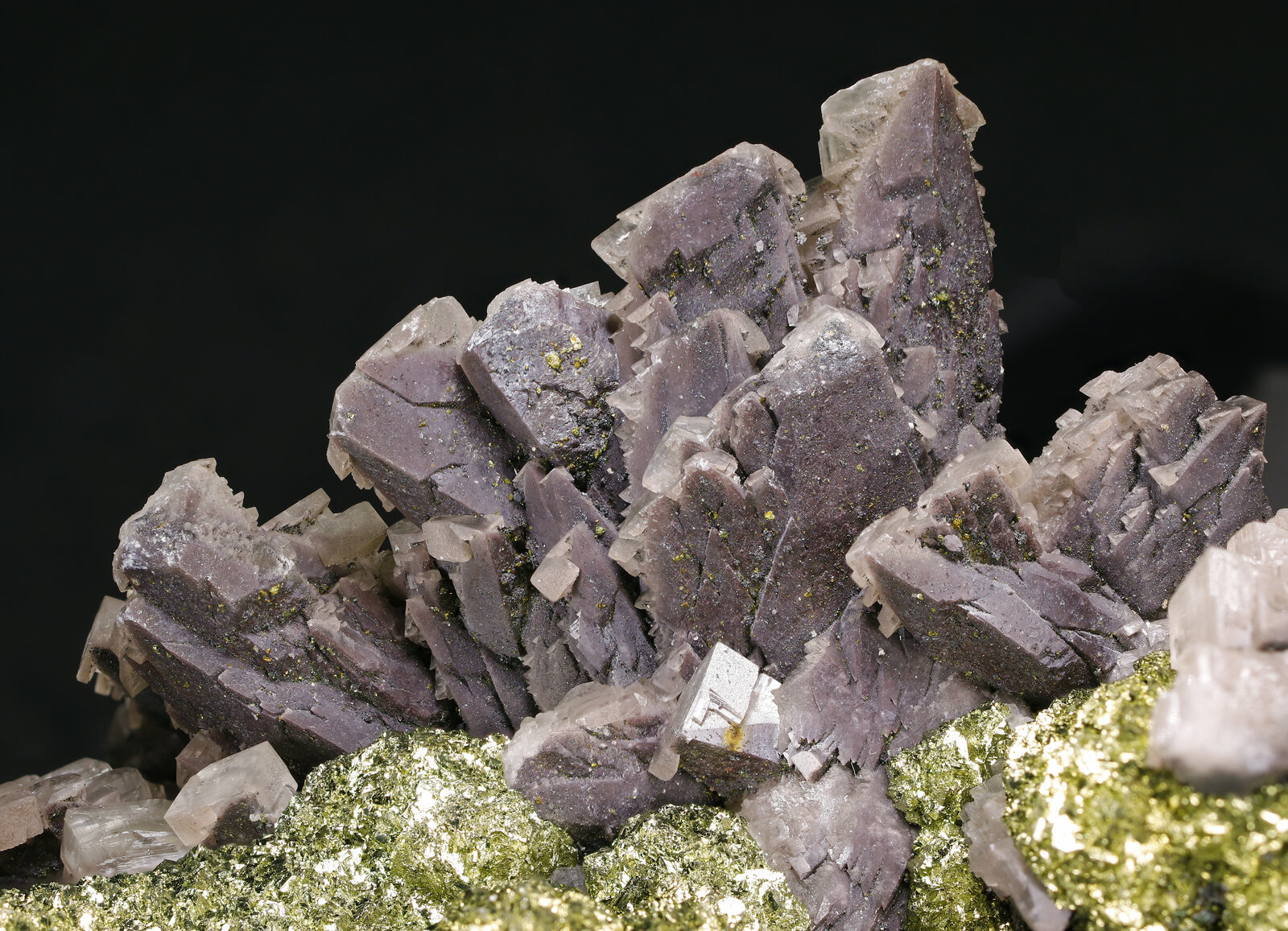 specimens/s_imagesAP4/Chalcopyrite-ELE90AP4_9334_d2.jpg