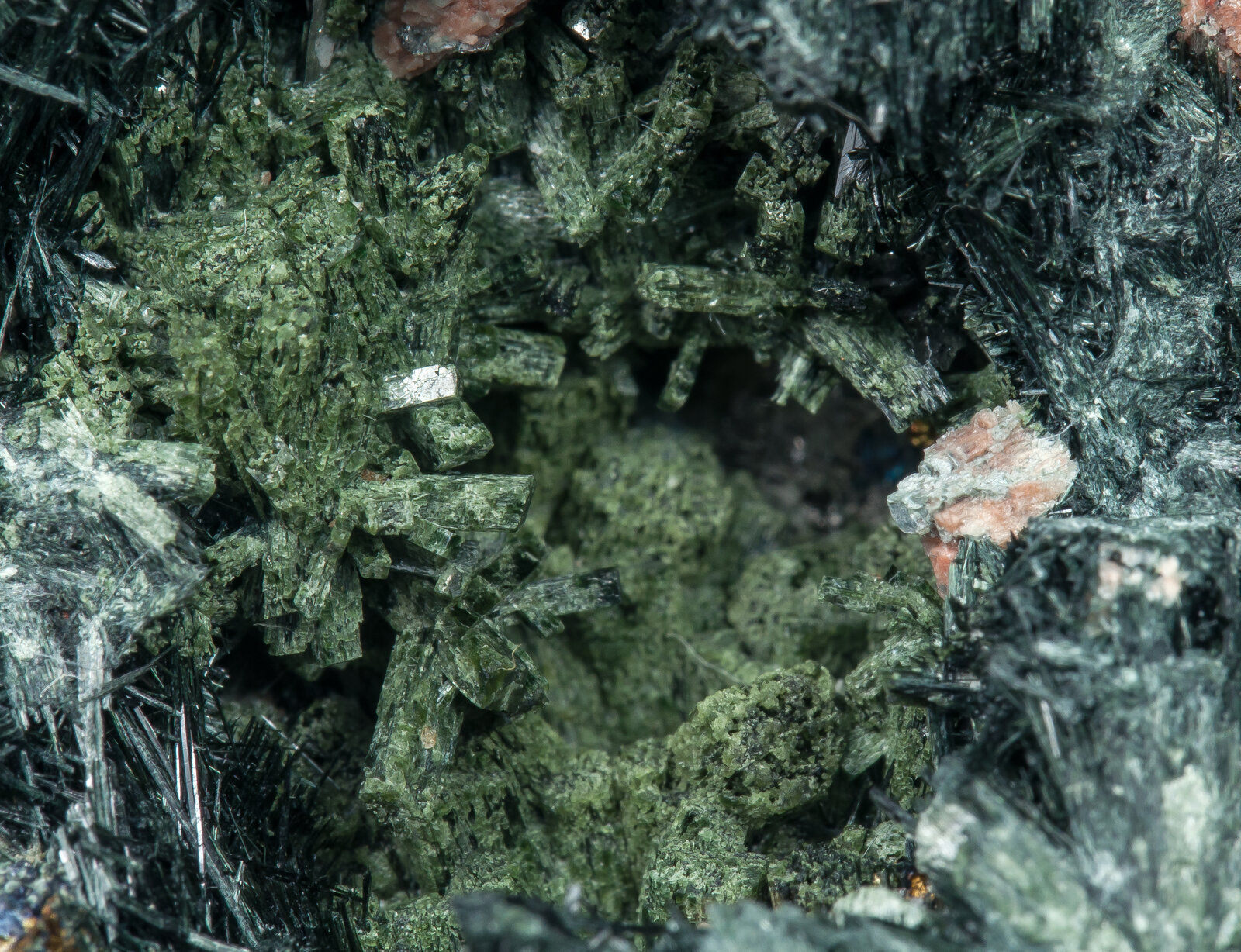 specimens/s_imagesAP4/Ferro-actinolite-JFD198AP4d.jpg