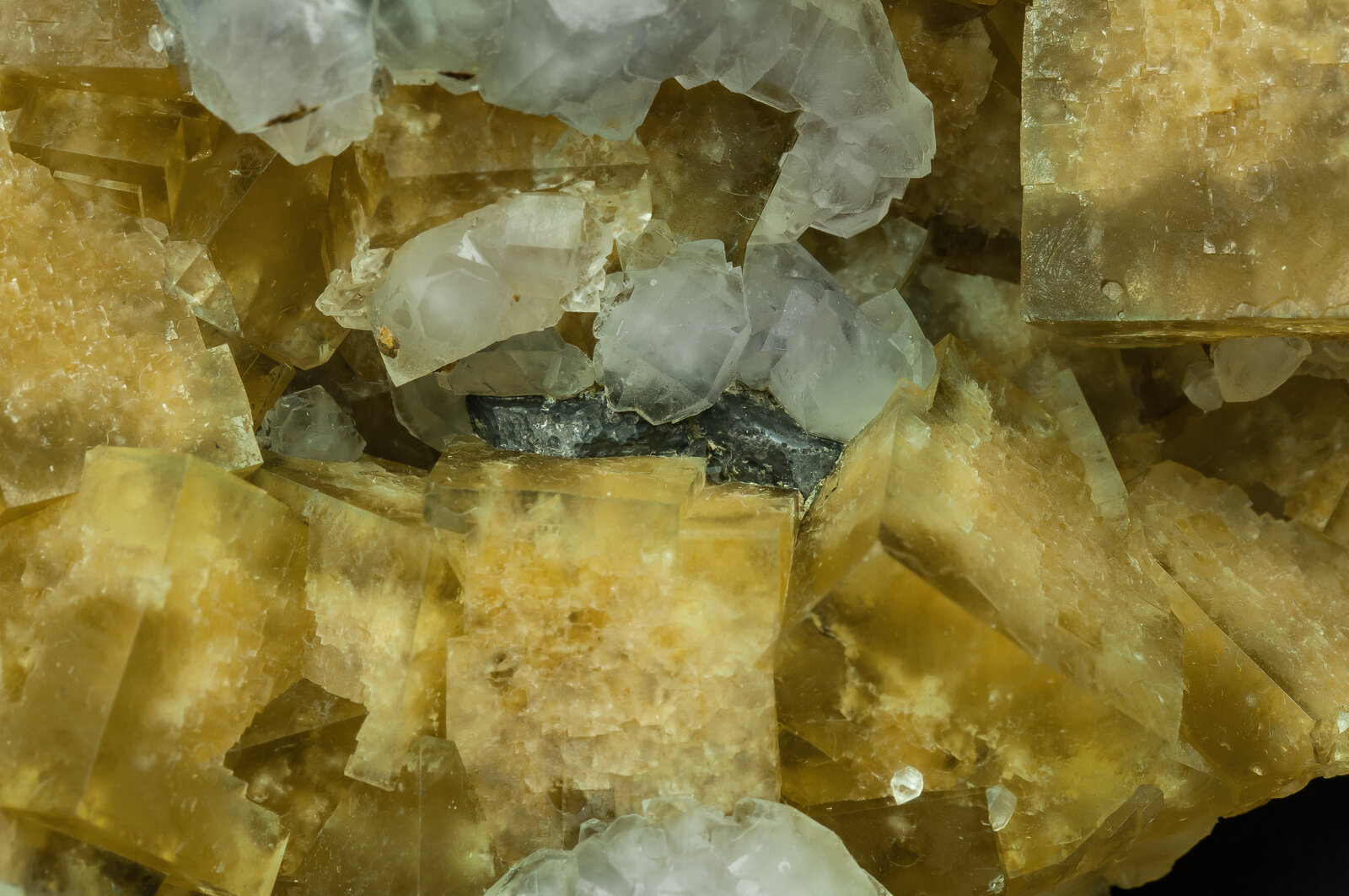 specimens/s_imagesAP4/Fluorite-ELB37AP4d2.jpg