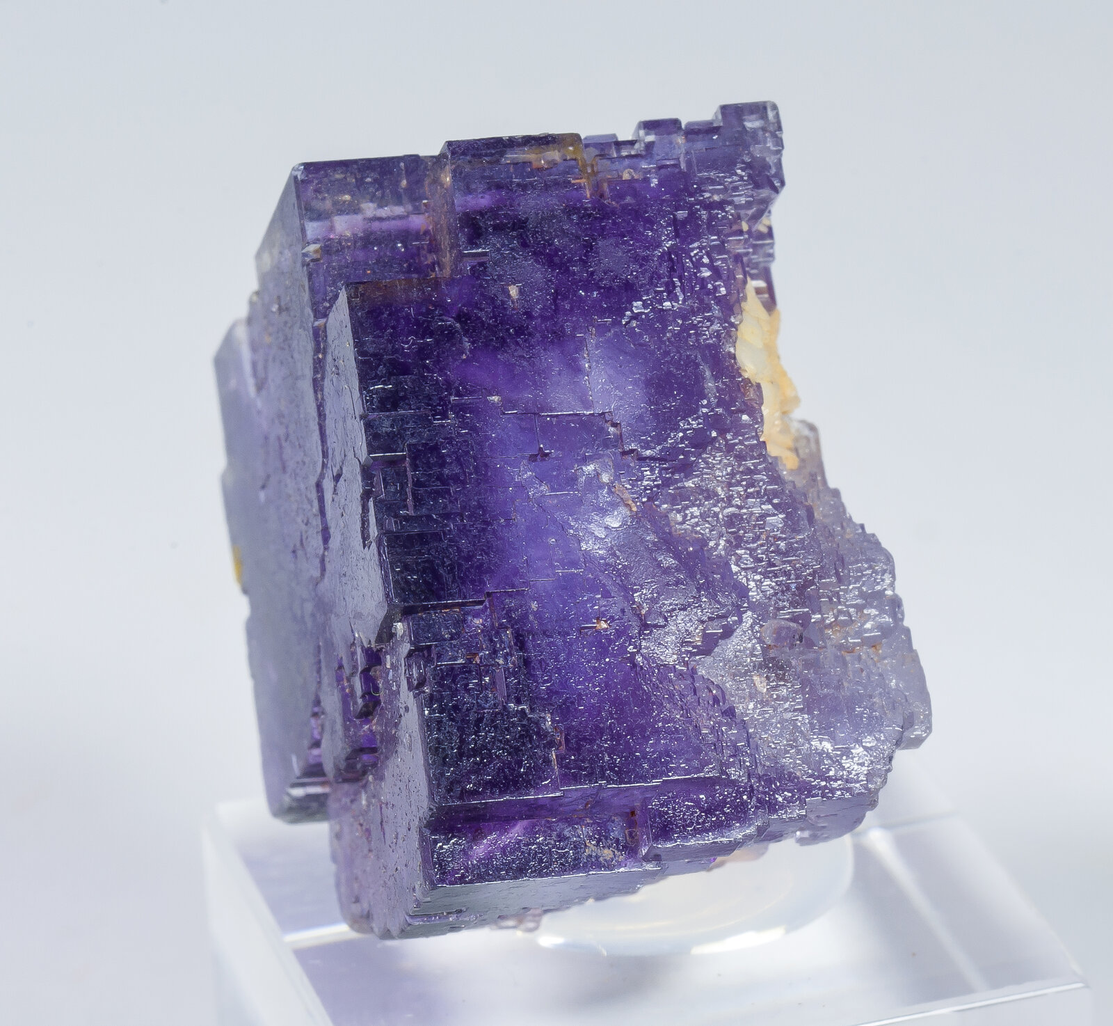 specimens/s_imagesAP4/Fluorite-TFF96AP4s.jpg