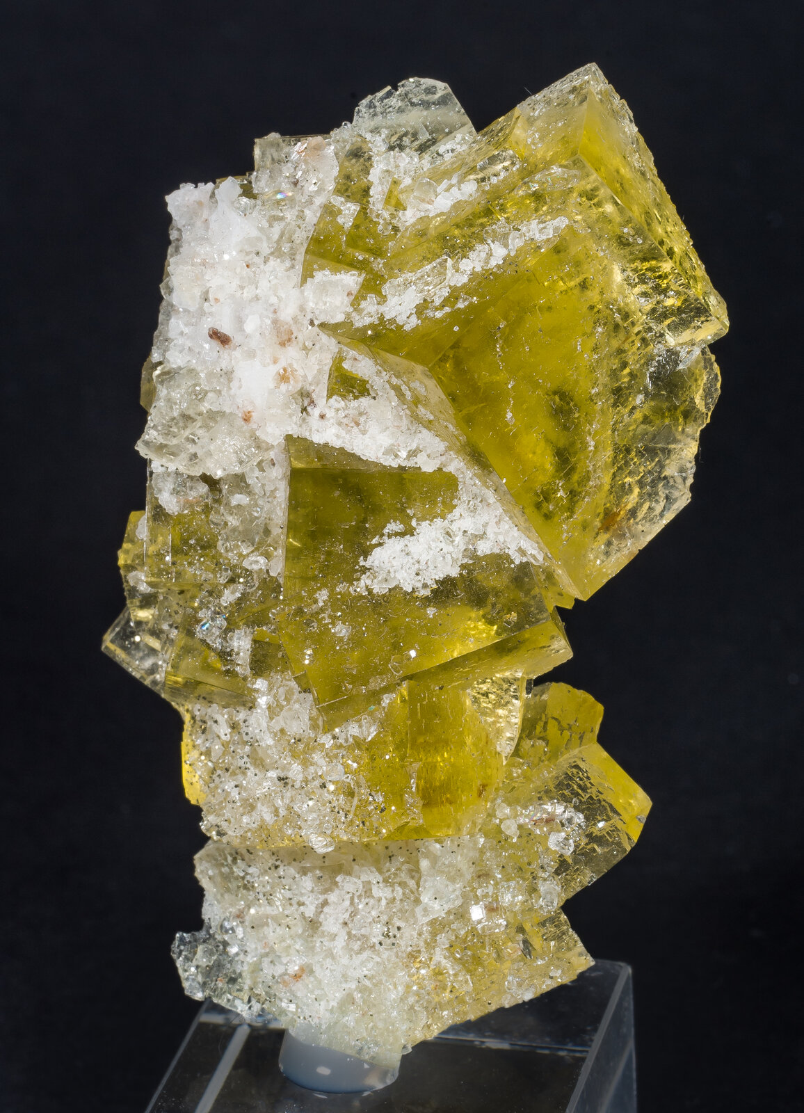 specimens/s_imagesAP4/Fluorite-TXL27AP4f.jpg