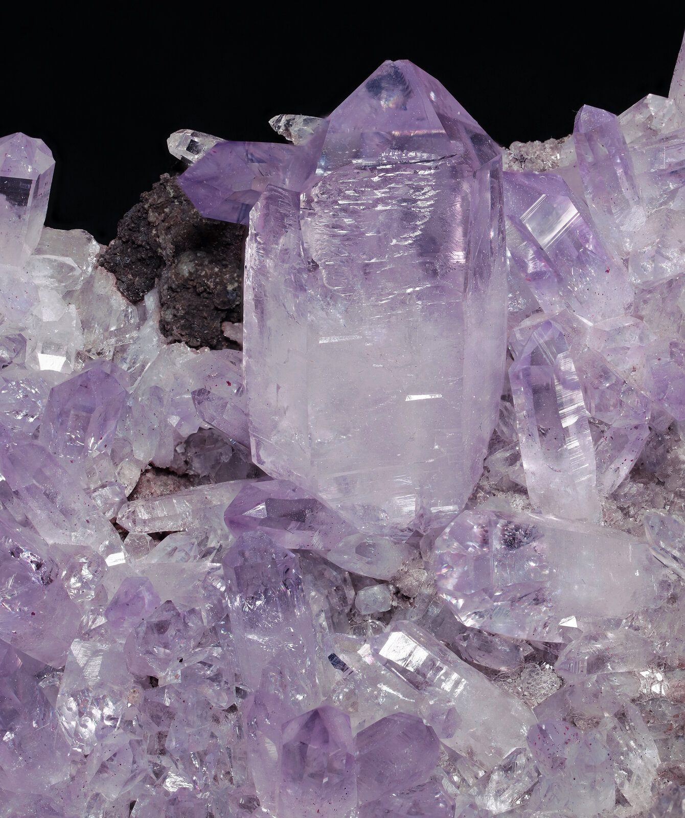 specimens/s_imagesAP4/Quartz_amethyst-BXF92AP4_9259_d.jpg